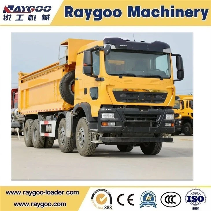 Dump Truck 6X4 8X4 Dump Truck 371 375 400 HP Truck suppliers